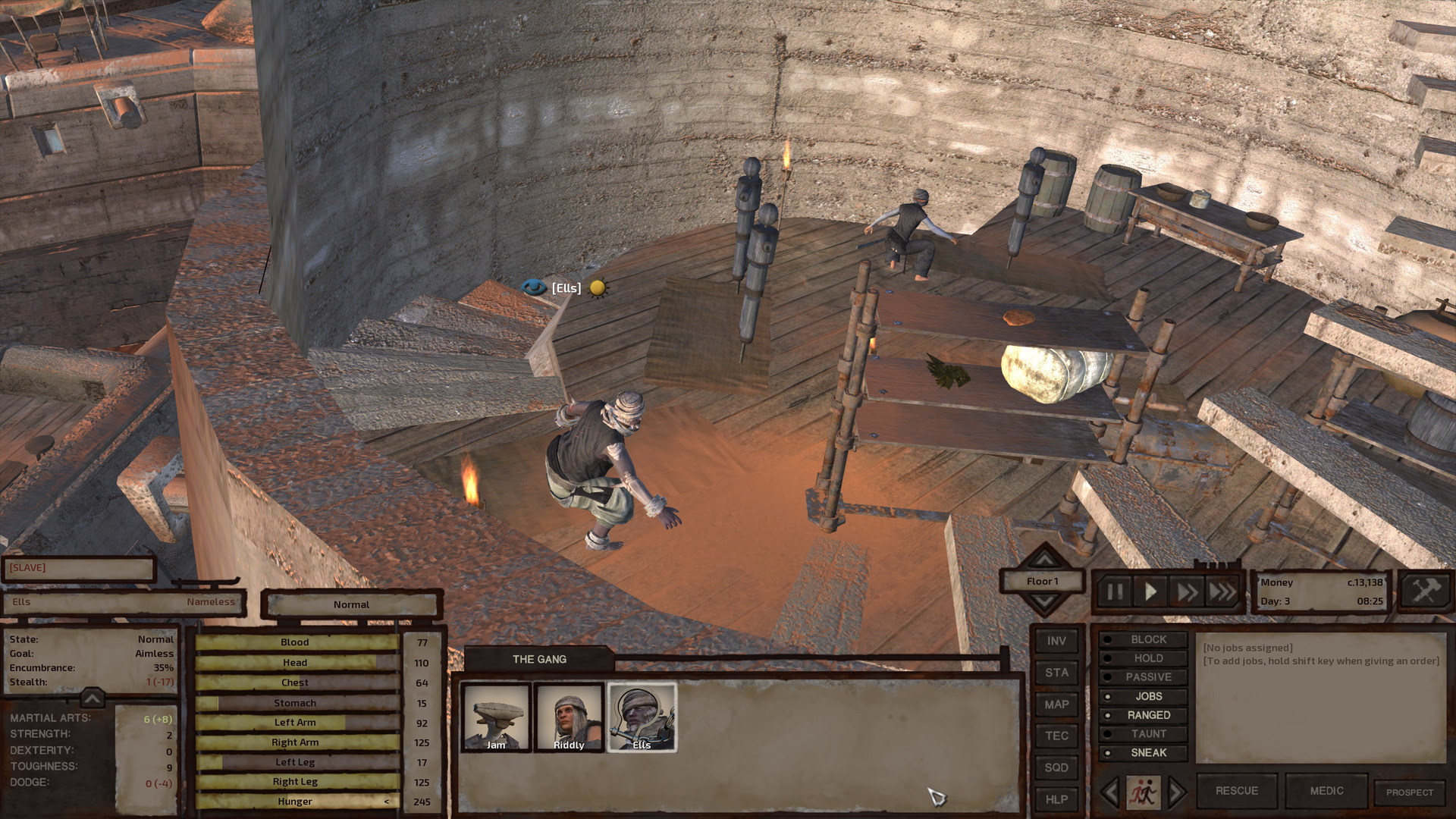 Ells is on the second floor of the Thieves' tower, crouching as if to hide but there's no one here he needs to hide from. In front of him is a shelf with a few food ingredients, and around the room are various dummies and other training equipment. A Shinobi Thief is in this room, silently training on the assassination dummy.
