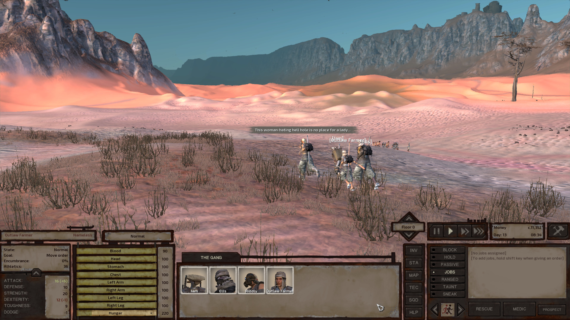 Across another vast stretch of sandy desert, a mountain range rises to meet the horizon, a solid wall of stone. The gang is in the foreground, Riddly complaining about 'This woman-hating hell hole' while a group of paladins and holy servants walk on by a short distance away.