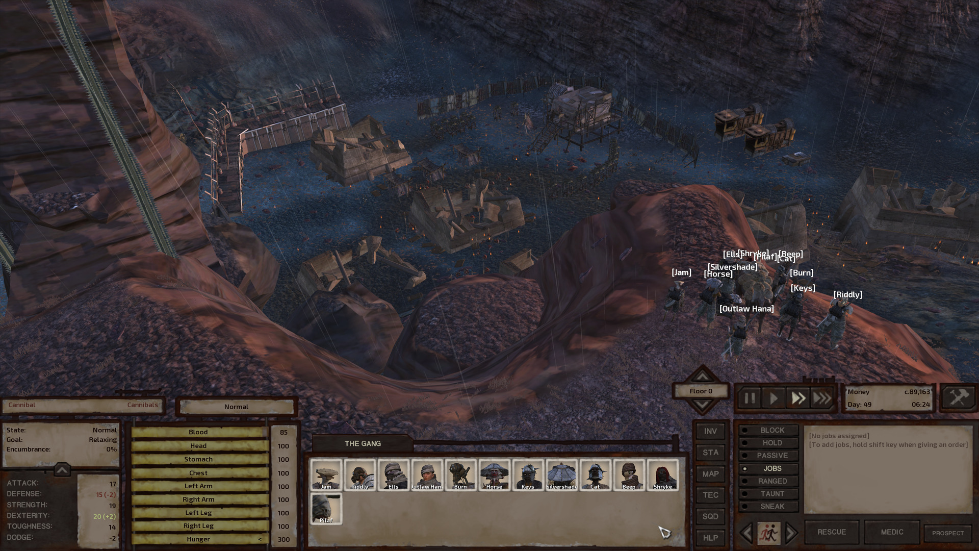 From atop a high ridge, the gang looks down at Deadcat.I'm about to describe the scene in the next paragraph since the camera is too zoomed out for the sighted to make out much detail from the picture so I dunno, there's not much to say here. I hope you're having a lovely day.