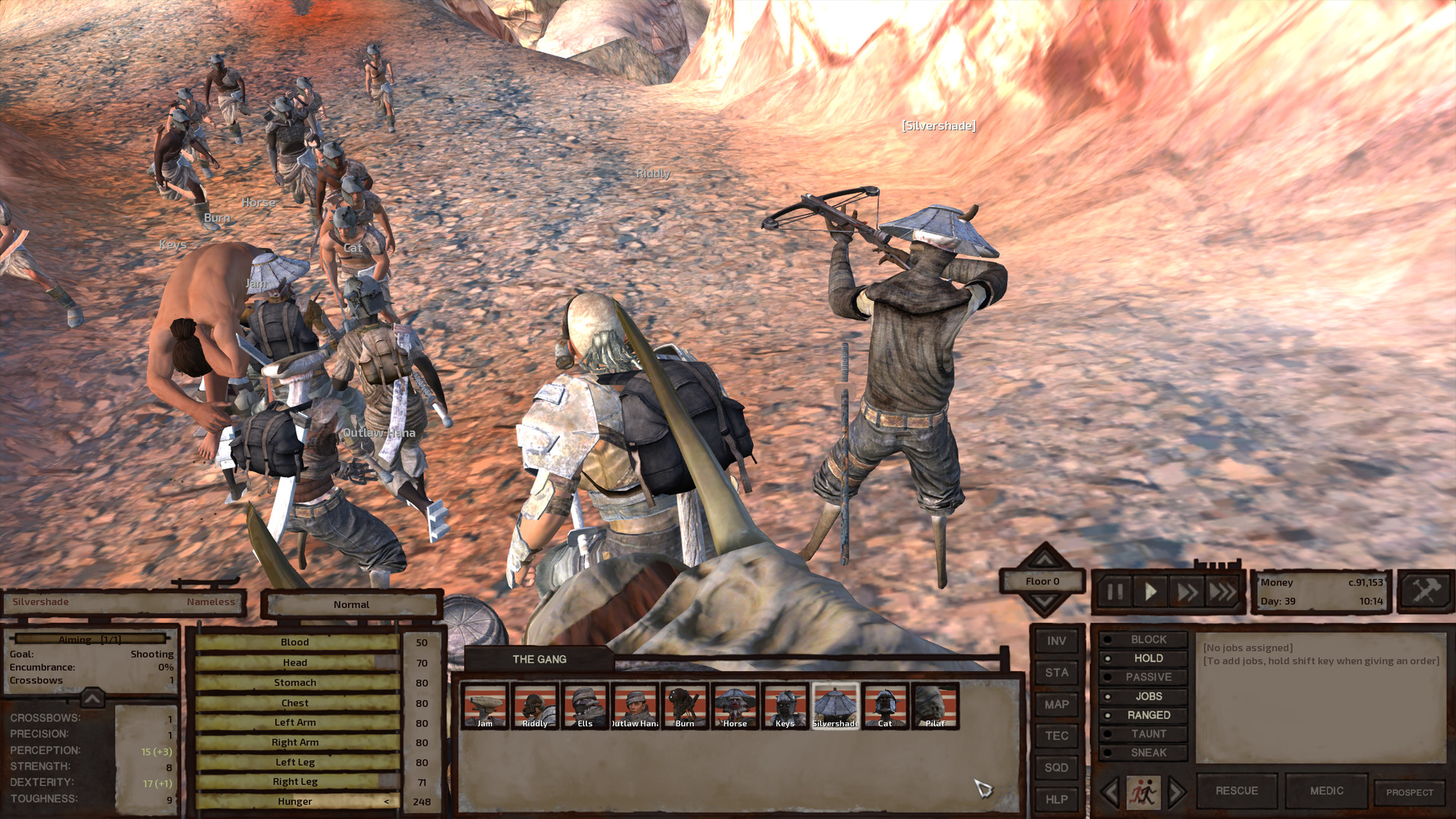 The gang stands ready as a bunch of dust bandits run up a slope toward them. Silvershade stands in the foreground in their conical iron hat and ninja rags, pointing a small crossbow at the dust bandits.