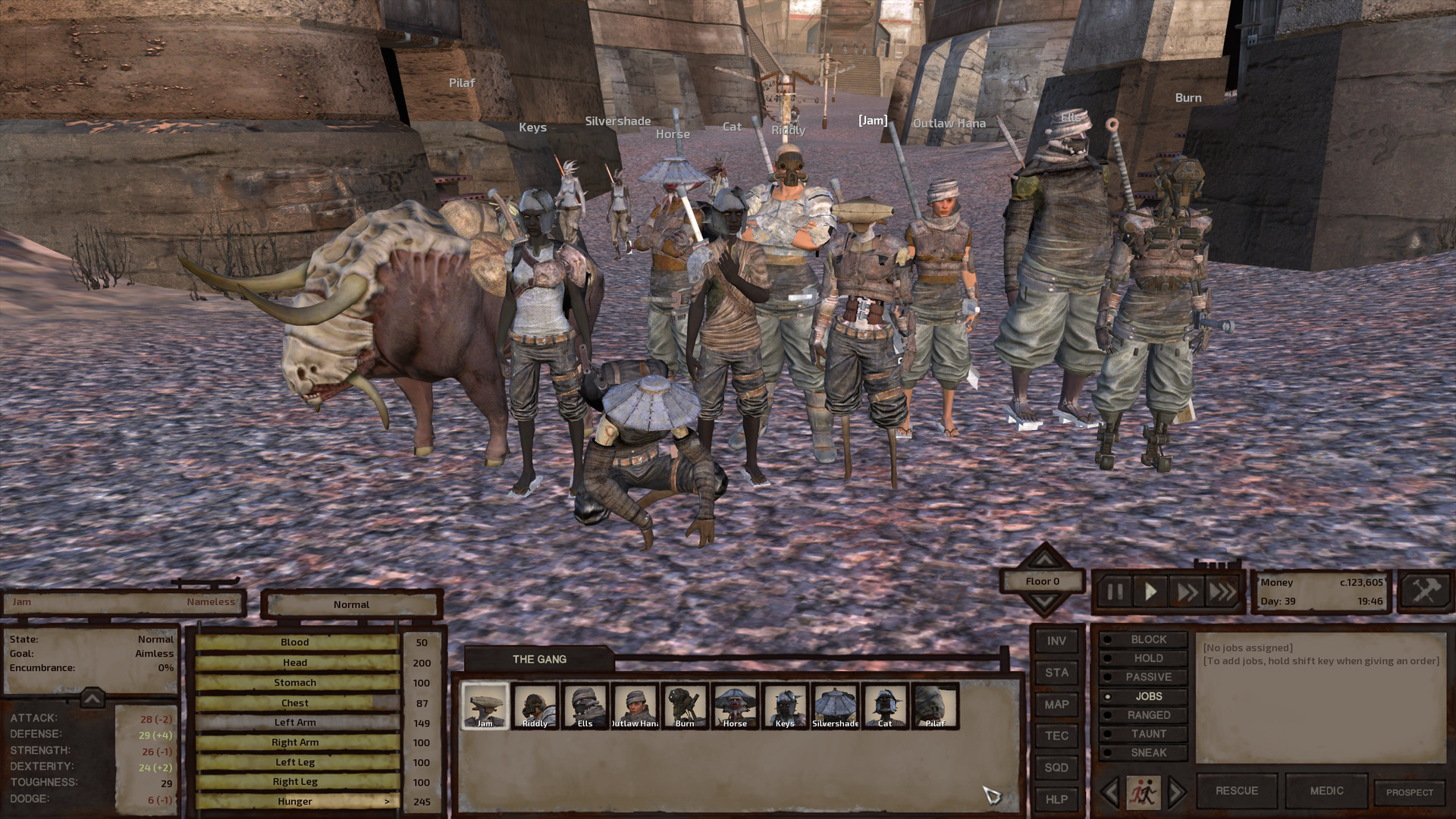A group shot of the gang in the middle of the Squin thoroughfare, a path of periwinkle-coloured stone. Pilaf now stands as tall as Jam, Keys, and Cat. Silvershade crouches in front while Riddly, Ells, and to a lesser extent Horse tower over everyone in the back. Most of the gang's outfits haven't changed much but Keys and Cat now wear dust bandit-style spiked helmets.